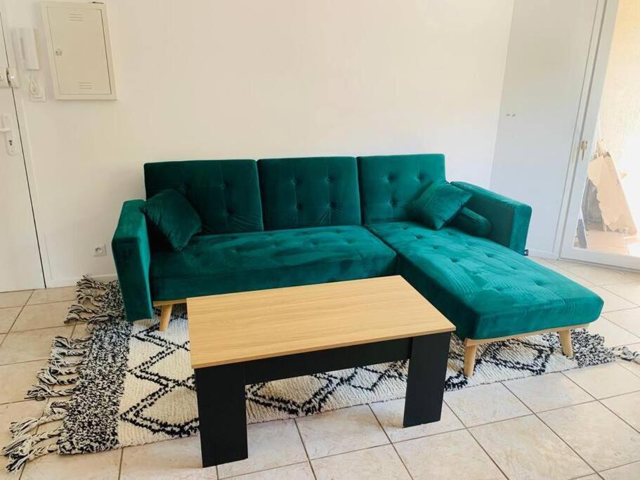 Appartement Rangeuil Toulouse Dış mekan fotoğraf