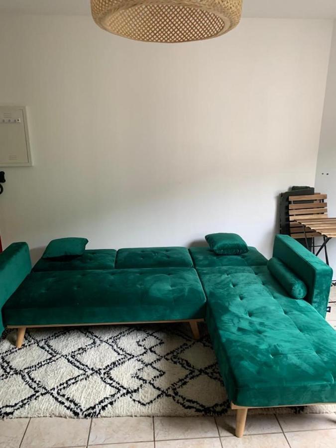 Appartement Rangeuil Toulouse Dış mekan fotoğraf